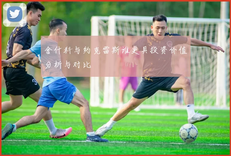 舍什科与约克雷斯谁更具投资价值分析与对比